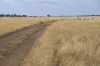 13724 Mitchell -, St George QLD 4487-Image