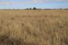 13724 Mitchell -, St George QLD 4487-Image