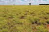 13724 Mitchell -, St George QLD 4487-Image