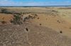 13724 Mitchell -, St George QLD 4487-Image