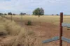 13724 Mitchell -, St George QLD 4487-Image