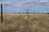 13724 Mitchell -, St George QLD 4487-Image