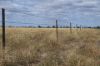 13724 Mitchell -, St George QLD 4487-Image
