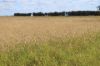 13724 Mitchell -, St George QLD 4487-Image