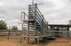 13724 Mitchell -, St George QLD 4487-Image