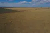 13724 Mitchell -, St George QLD 4487-Image