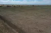 13724 Mitchell -, St George QLD 4487-Image