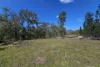 1390 Yarrawa Road, Denman, NSW 2328-Image