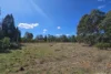 1390 Yarrawa Road, Denman, NSW 2328-Image