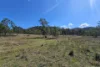 1390 Yarrawa Road, Denman, NSW 2328-Image