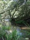 1394 Clarence Way, Whiteman Creek, NSW 2460-Image
