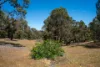 14/380 Clenton Road, Gidgegannup, WA 6083-Image