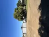 14 Cherry Street, Barraba, NSW 2347-Image