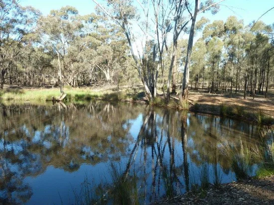 14, Wheelhouse Road, Wehla, Vic 3518