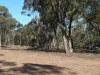14, Wheelhouse Road, Wehla, Vic 3518-Image
