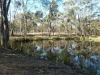 14, Wheelhouse Road, Wehla, Vic 3518-Image
