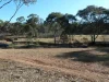 14, Wheelhouse Road, Wehla, Vic 3518-Image