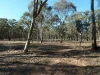 14, Wheelhouse Road, Wehla, Vic 3518-Image