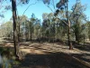 14, Wheelhouse Road, Wehla, Vic 3518-Image