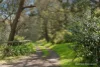 140 North Mountain Road, Heathcote Junction, Vic 3758-Image