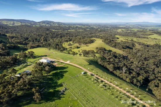 140 Split Staff Gully Road, Willowmavin, Vic 3764