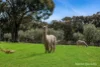 140 Split Staff Gully Road, Willowmavin, Vic 3764-Image