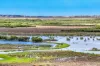 1408A & 1408B Randell Road, Hindmarsh Island, SA 5214