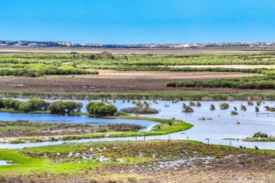 1408A & 1408B Randell Road, Hindmarsh Island, SA 5214