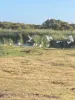 1408A & 1408B Randell Road, Hindmarsh Island, SA 5214-Image