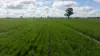 141 Cheecome Road, Moree, NSW 2400-Image