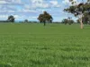 141 Cheecome Road, Moree, NSW 2400-Image