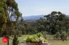 141 Shepherd Road, Bywong, NSW 2621-Image