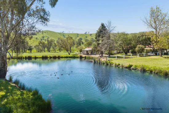 141 U T Creek Road, Alexandra, Vic 3714 - For Sale
