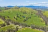 141 U T Creek Road, Alexandra, Vic 3714-Image