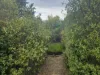 14235 Tasman Highway, Swansea, Tas 7190-Image
