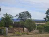14235 Tasman Highway, Swansea, Tas 7190-Image