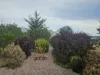 14235 Tasman Highway, Swansea, Tas 7190-Image