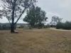 14235 Tasman Highway, Swansea, Tas 7190-Image