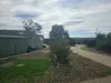 14235 Tasman Highway, Swansea, Tas 7190-Image