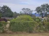 14235 Tasman Highway, Swansea, Tas 7190-Image