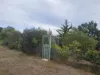 14235 Tasman Highway, Swansea, Tas 7190-Image