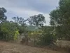 14235 Tasman Highway, Swansea, Tas 7190-Image
