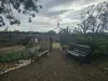 14235 Tasman Highway, Swansea, Tas 7190-Image