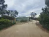 14235 Tasman Highway, Swansea, Tas 7190-Image