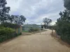 14235 Tasman Highway, Swansea, Tas 7190-Image