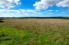 143 Breadalbane Road Parkesbourne via, Goulburn NSW 2580-Image