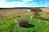 143 Breadalbane Road Parkesbourne via, Goulburn NSW 2580-Image