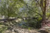 144 Baillies Road, Copmanhurst, NSW 2460-Image
