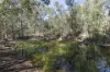 144 Baillies Road, Copmanhurst, NSW 2460-Image