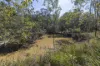 144 Baillies Road, Copmanhurst, NSW 2460-Image
